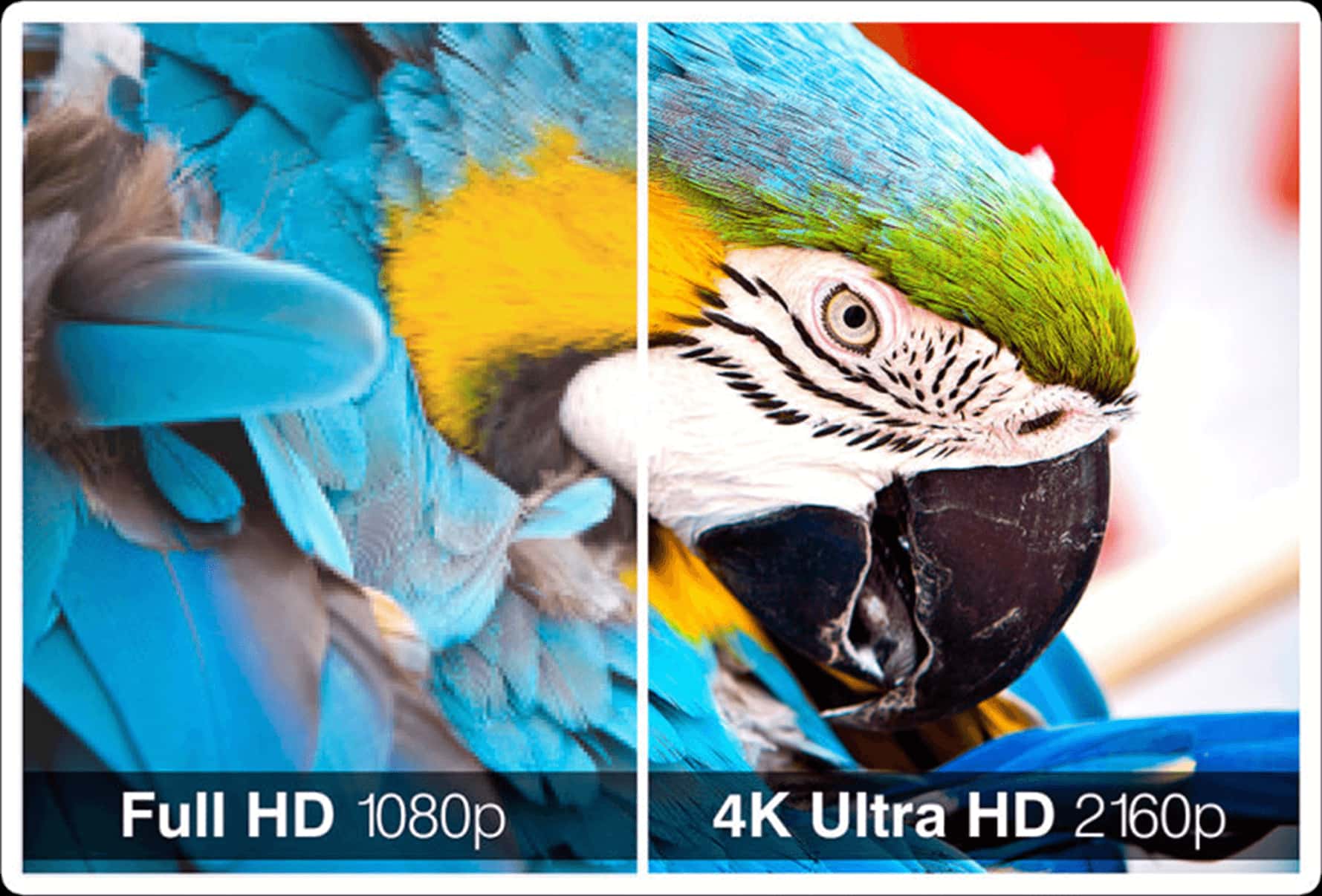 4K (UHD) Vs. 1080p (Full HD) Laptop: Which Is Better » Buyer Direction